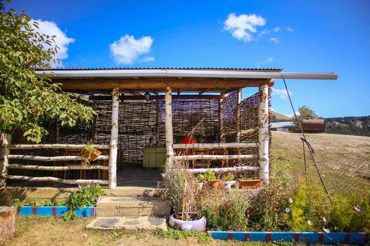 Guest House Old Omalo المظهر الخارجي الصورة